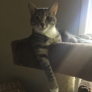 Meet your Posher, Kara